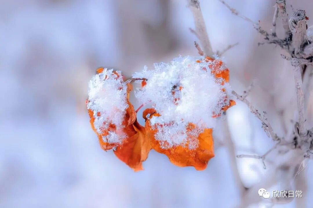 共享过三样东西,往往是男女关系不再纯洁的证据,别假装了
