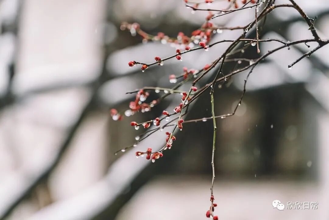 共享过三样东西,往往是男女关系不再纯洁的证据,别假装了