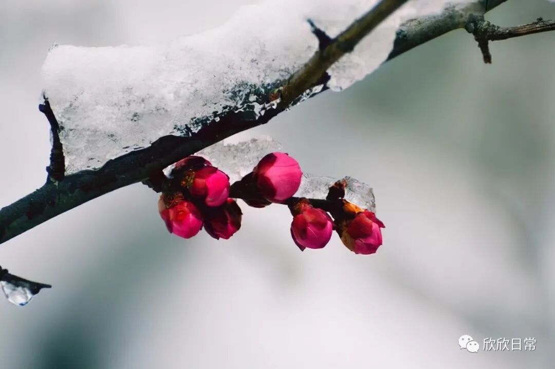 共享过三样东西,往往是男女关系不再纯洁的证据,别假装了