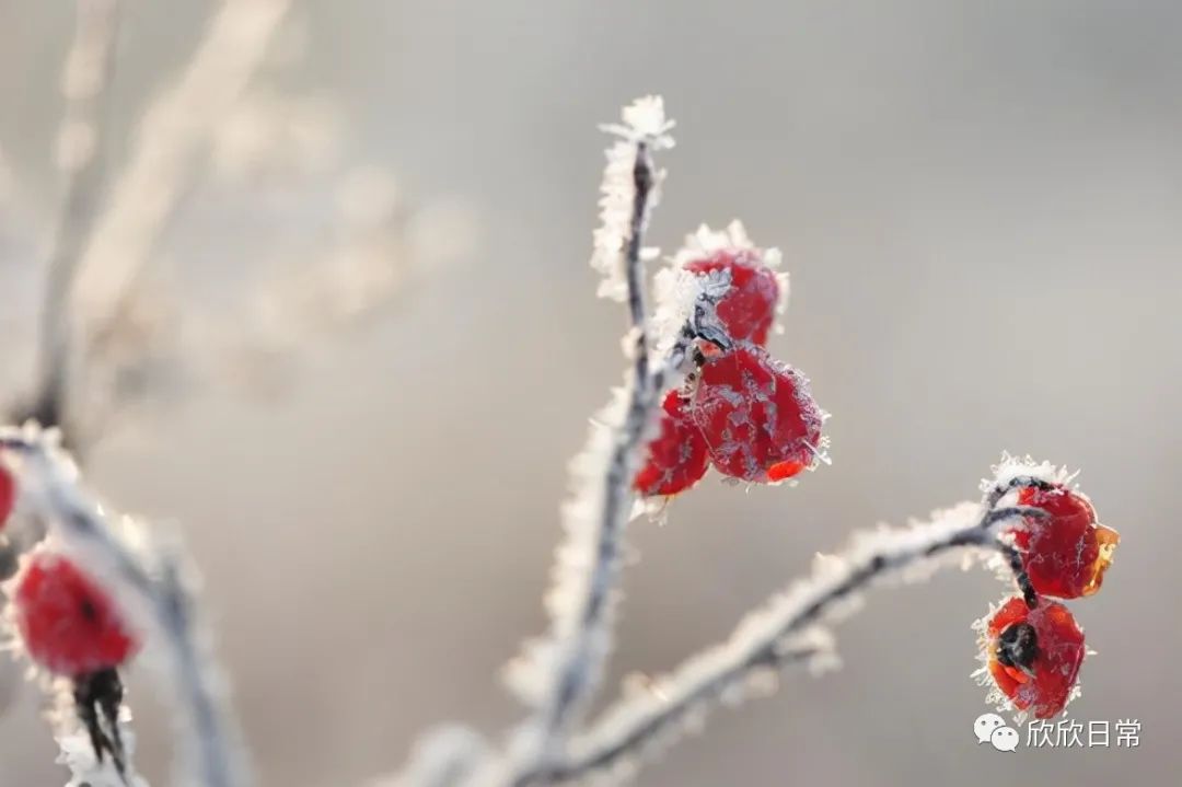 共享过三样东西,往往是男女关系不再纯洁的证据,别假装了