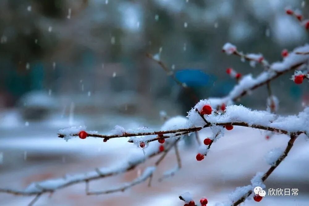 共享过三样东西,往往是男女关系不再纯洁的证据,别假装了
