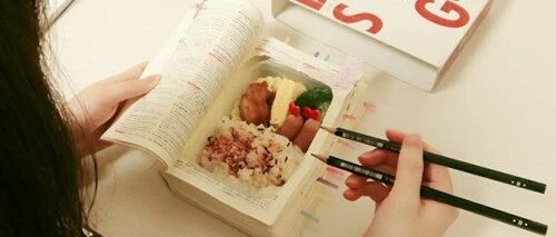 日本少女挖空字典只为上课偷吃，几万人在网上共同围观她的沙雕生活