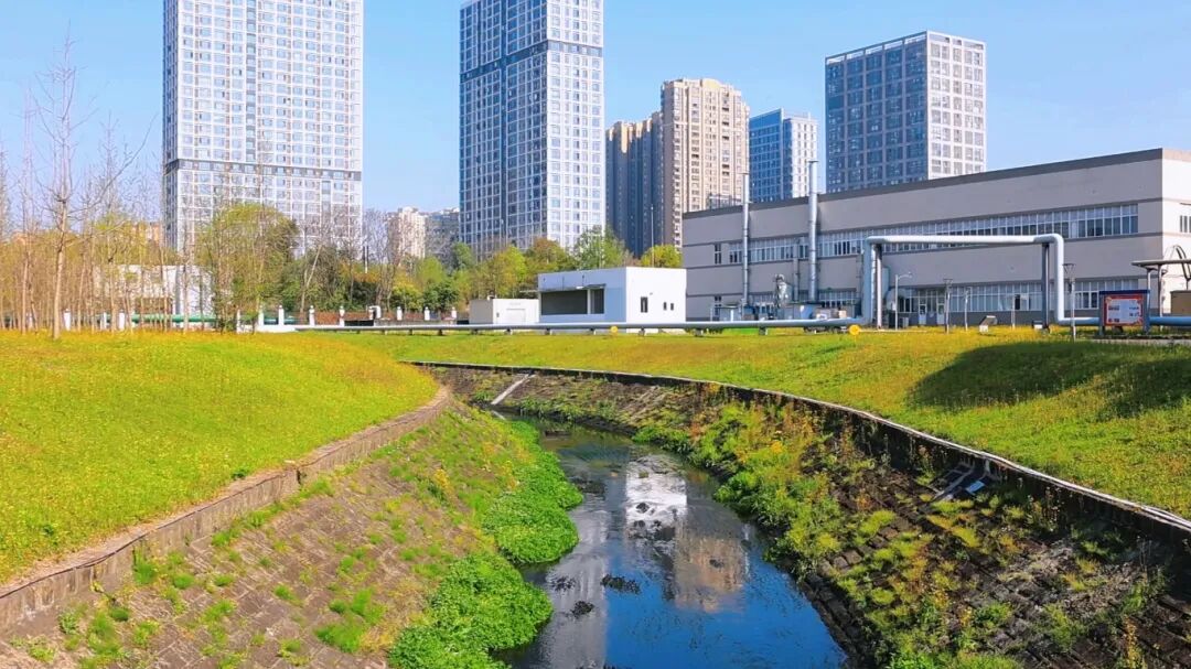 聚焦 | sunbet科技环境绩效报告：绿色转型引领可持续发展