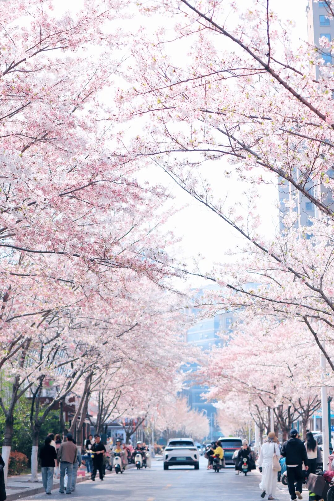 retouch_2026032911355047.jpg