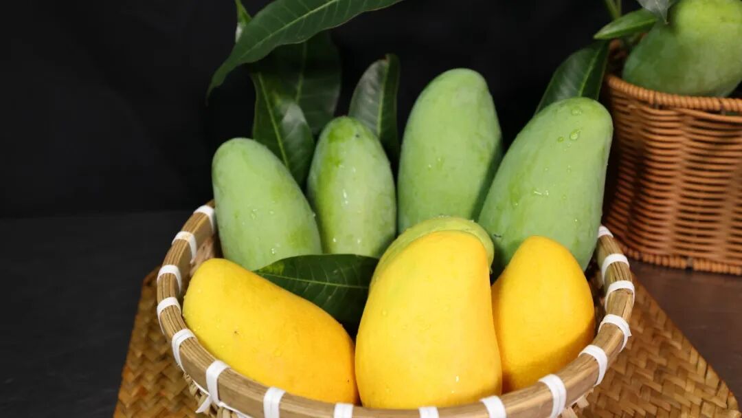 芒果3.JPG