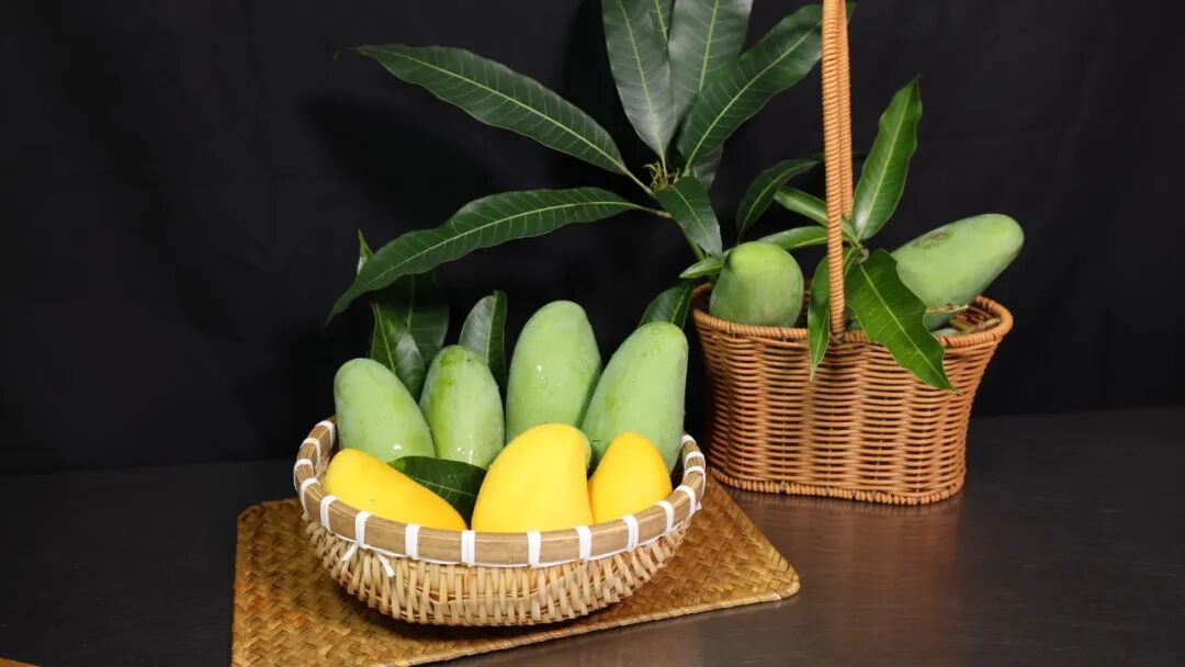 芒果2.JPG