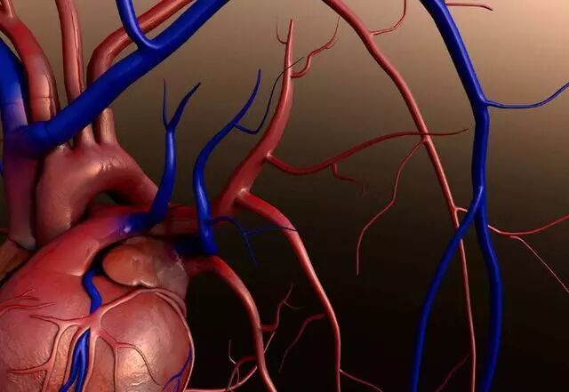 硒元素能被人体吸收？都说补硒能抗癌是否要天天补，喝黑茶也能补