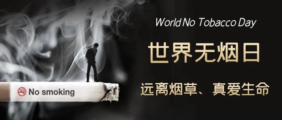 世界无烟日|向烟草说“不”
