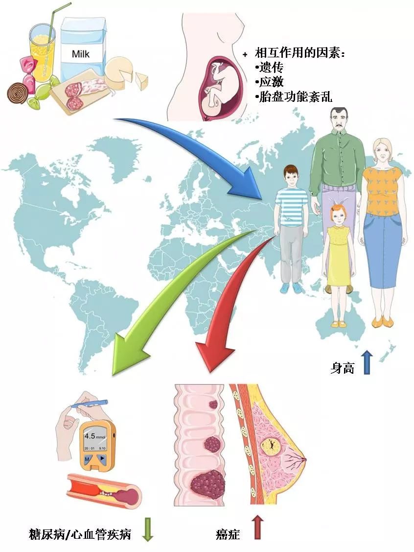 身高竟然跟癌症風險有關？瑞典550萬人數據再添證據！ 健康 第2張