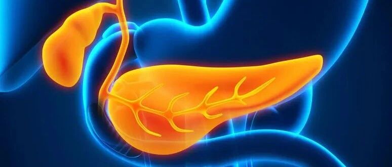 又一知名演员患癌去世！收藏这份健康指南，掌握“胰腺生机”