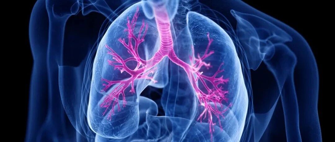 关于肺癌的4个真相，很多人以为的可能都是错的