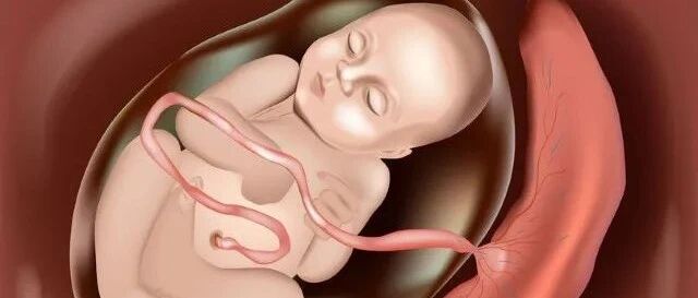 妈妈对孩子有多重要？准妈妈这样吃，能预防多种疾病