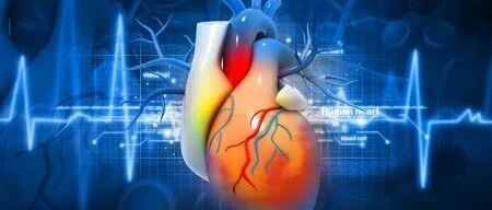 这种食物，能不能补脑不清楚！但减轻炎症，降低心血管风险却是有可能的