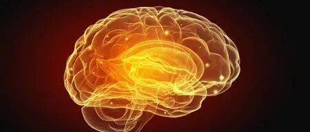 ​它们是大脑健康的“两大杀手”，生活中常喝两种饮料，可能起到预防作用