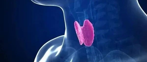 中国这些地方的人注意！甲状腺好不好，先看这种食物是否吃对了