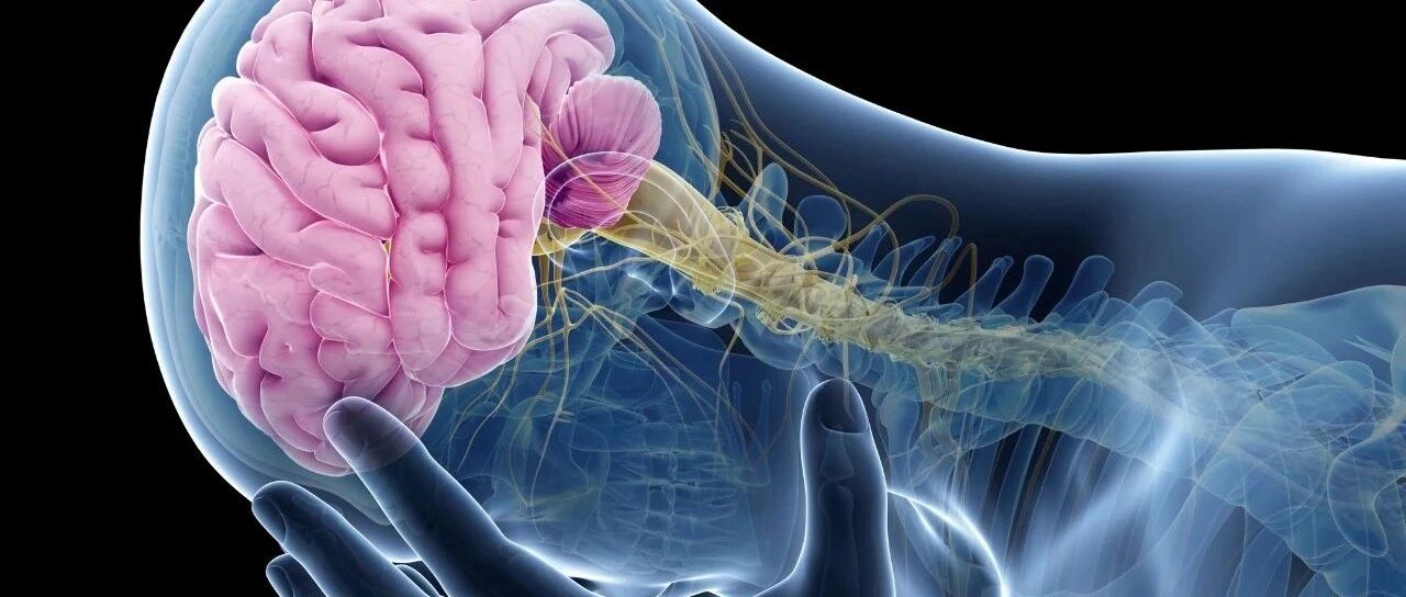 5个中国人，2个会中风！做好这几点，94%可预防丨世界卒中日