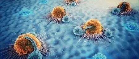 从正常细胞到癌症，需要多长时间？也许比你以为的要更久