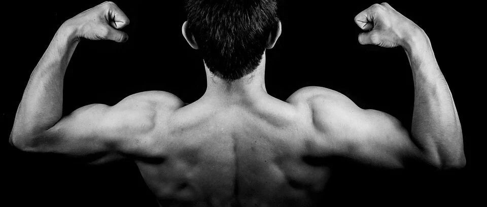 死亡风险降低40%！这样运动不仅效果好，还有助于预防7类疾病死亡