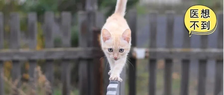 兄妹二人突然高烧，身上多处肿块！竟是染上这种细菌……