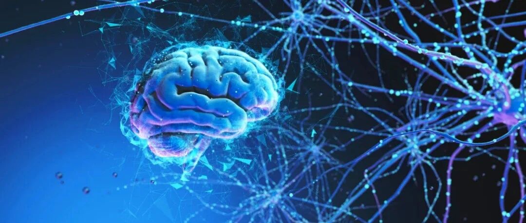 为什么会得阿尔兹海默症？该怎么预防？