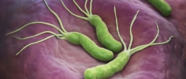 60%的中国人感染了这种菌！过年聚餐，这件小事必须重视