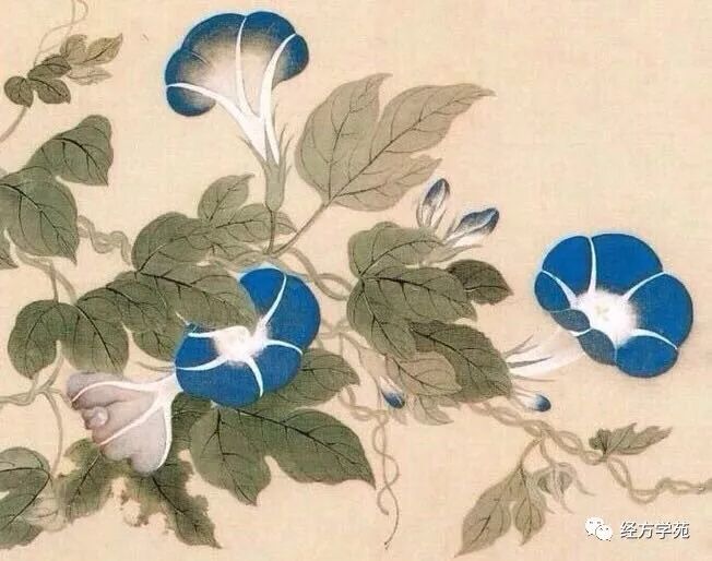 小郎中学中药——学习也可以如此有趣