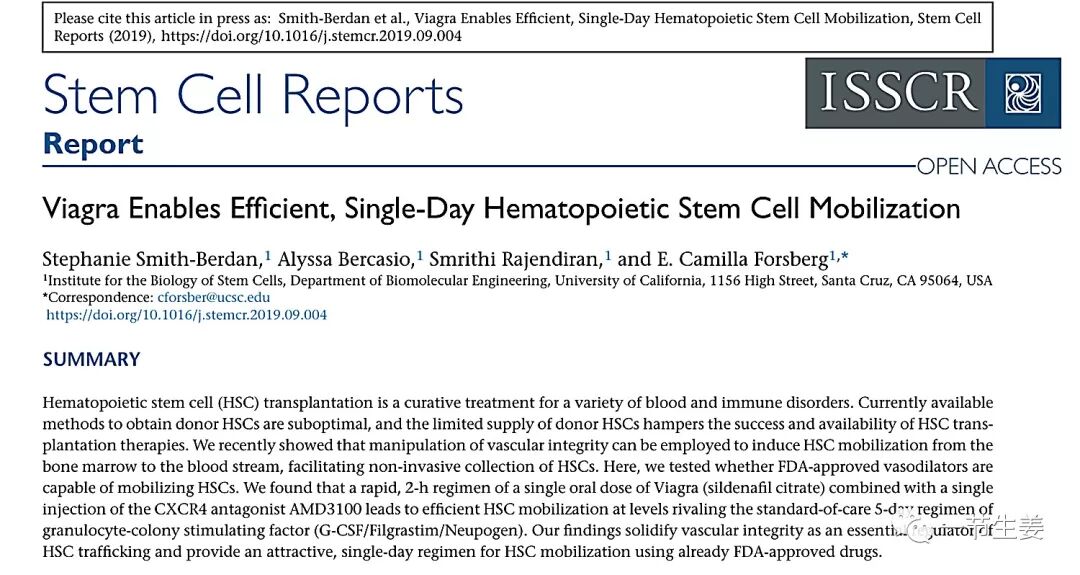 国外研究：“伟哥”可以帮助治疗白血病