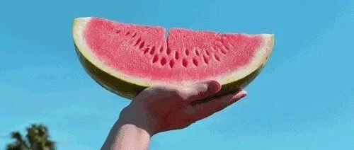 40天超长伏天，专家教你活用苦、酸、甘、淡四味巧解暑！