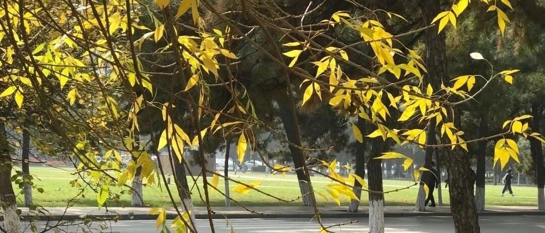 沈阳进入流感发病高峰期，这几个月份尤其要警惕！