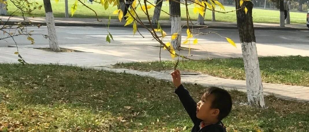 进入呼吸道疾病高发季，中医教你这样做，防肺燥，护阴津