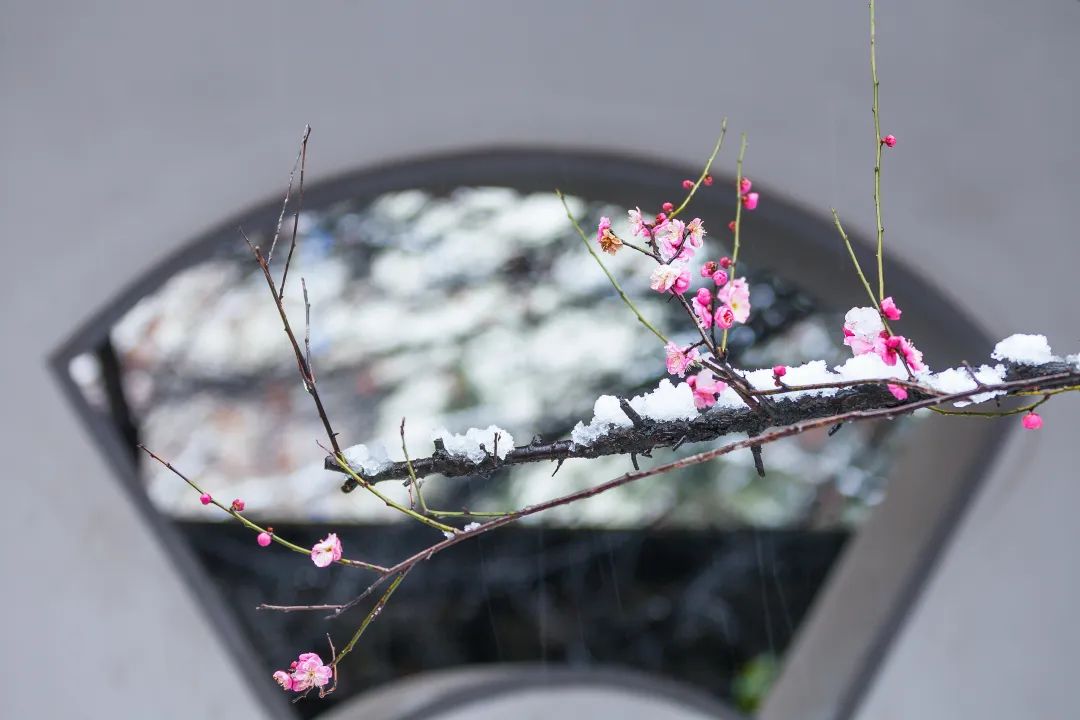 形容夜晚寒冷的诗句