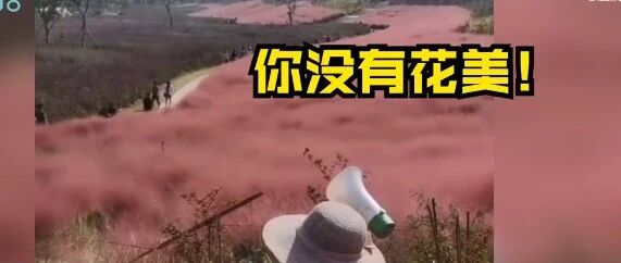 景区大妈硬核护花，这波喊话火了！