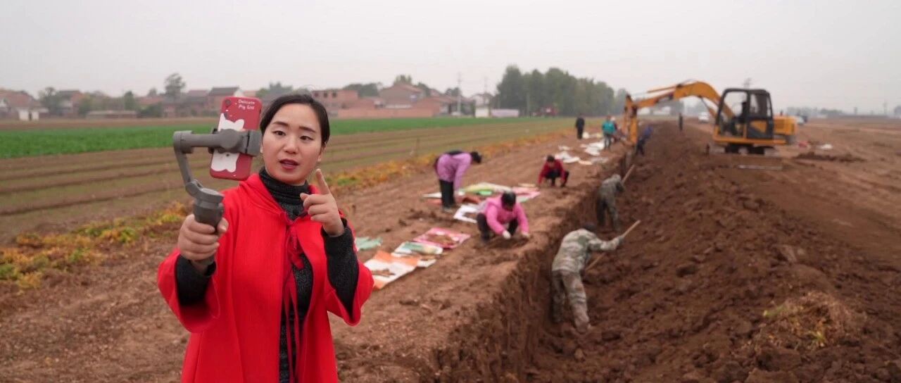 老家的味道丨酸甜苦辣的山药人生