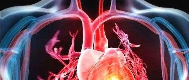 出汗多了别忘补点它，否则可能会危及生命！