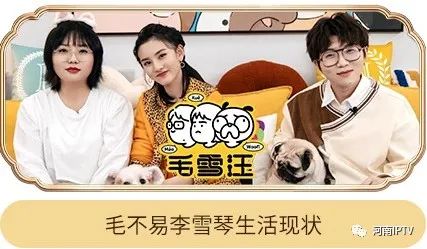 毛雪汪第3季_石家庄季彬汪婷真人照_毛骗 汪甜甜