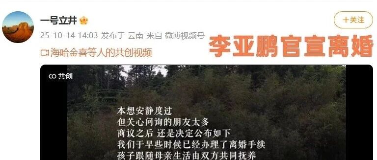 李亚鹏又离婚了，但真正破碎的不是爱情