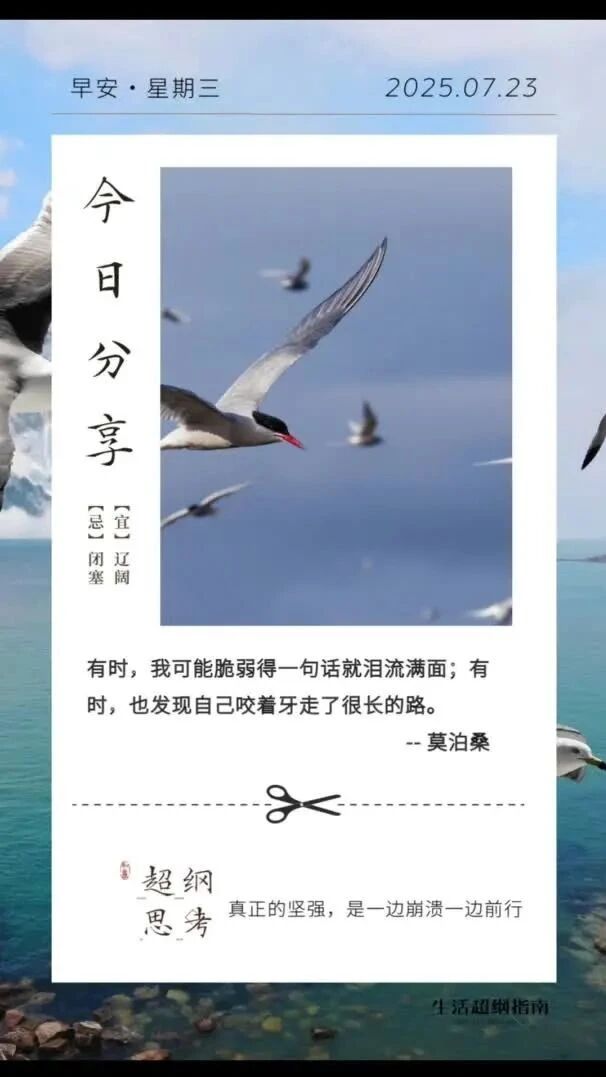 超纲今日语录推荐-2025/07/23