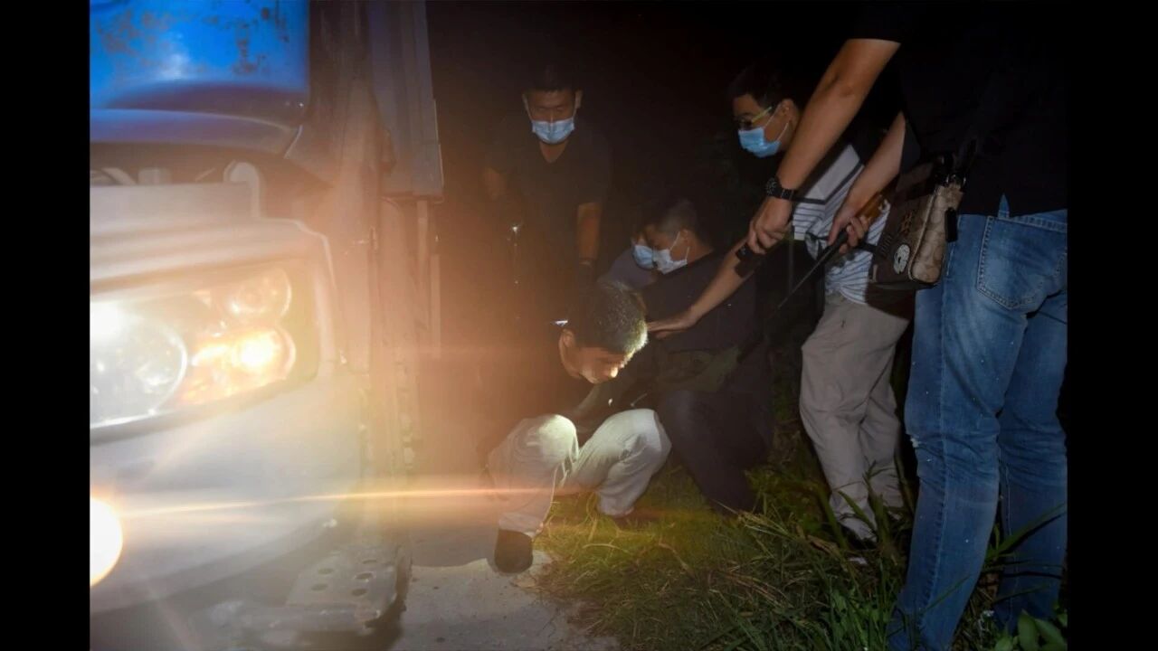 冻品|千万别乱买！上百吨走私冷冻品，31人落网……