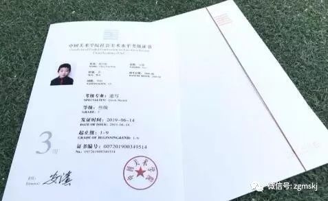 美術(shù)國(guó)家承認(rèn)哪些藝術(shù)考級(jí)_國(guó)家承認(rèn)的美術(shù)考級(jí)_美術(shù)類考級(jí)國(guó)家認(rèn)可的