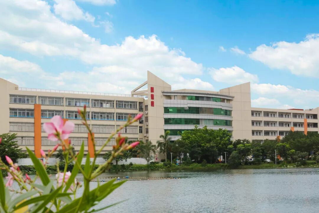 �麣����ְҵ����ѧԺϲӭ2019����������