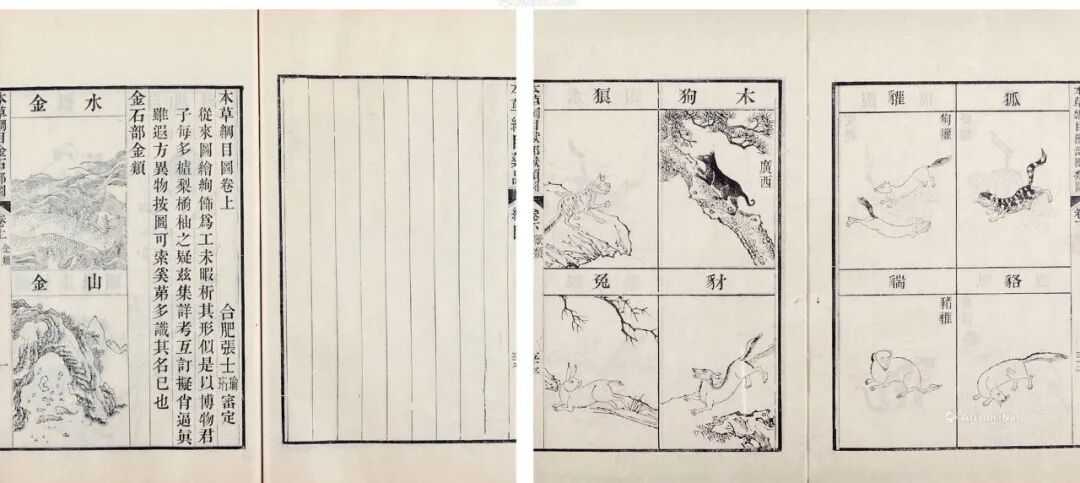 祖传偏方：消囊汤，治疗各类囊肿的中医妙方