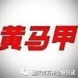 黃馬甲快遞