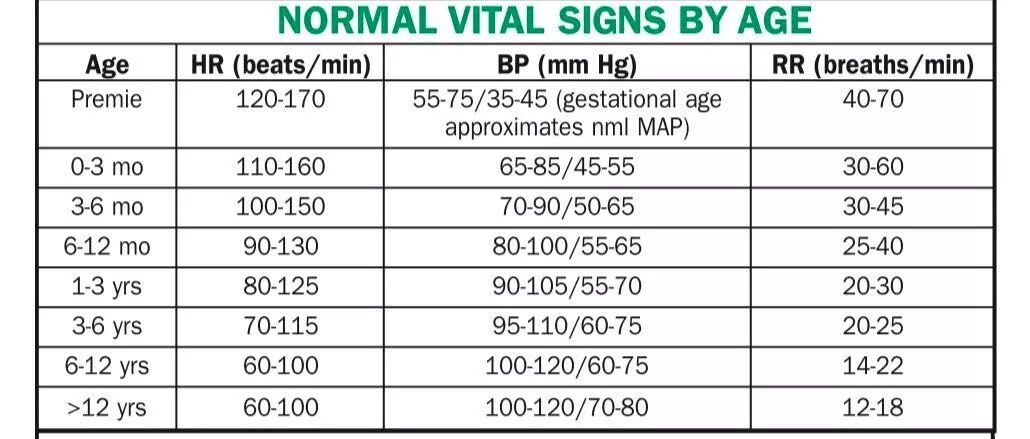 一般人安静呼吸的频率_一般人安静时一分钟呼吸的频率是多少_安静时每分钟呼吸次数