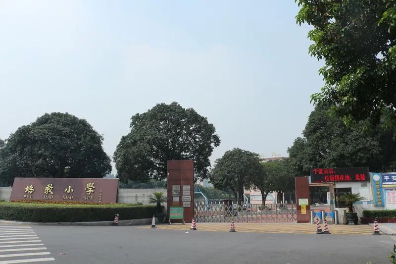 73 伦教培教小学030757-27731382,15899835318 谢老师.