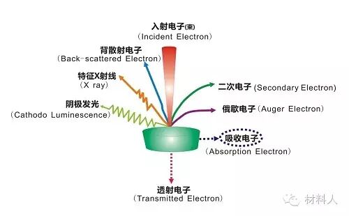 谈谈能量色散X射线谱仪（EDS）的那些事儿的图1
