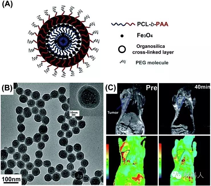 施剑林综述:二氧化硅/有机硅交联嵌段共聚物胶束—多功能诊疗平台