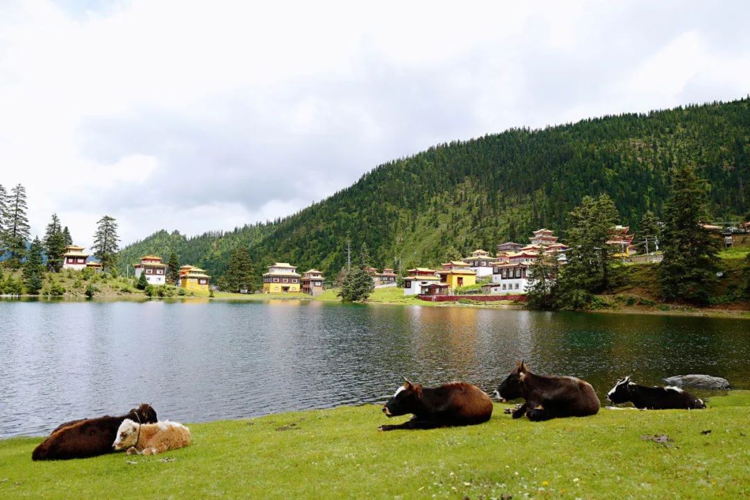 粉絲來信｜藏在相冊裡的山水畫 旅遊 第63張