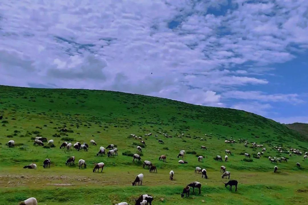 粉絲來信｜藏在相冊裡的山水畫 旅遊 第65張