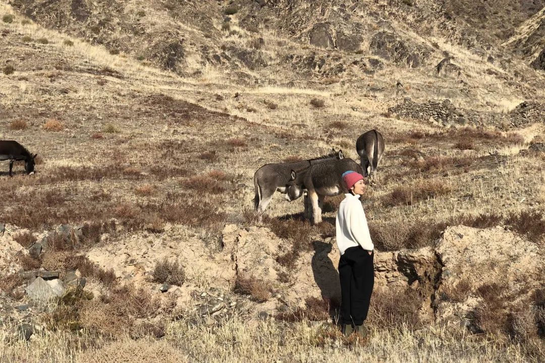 粉絲來信｜藏在相冊裡的山水畫 旅遊 第28張