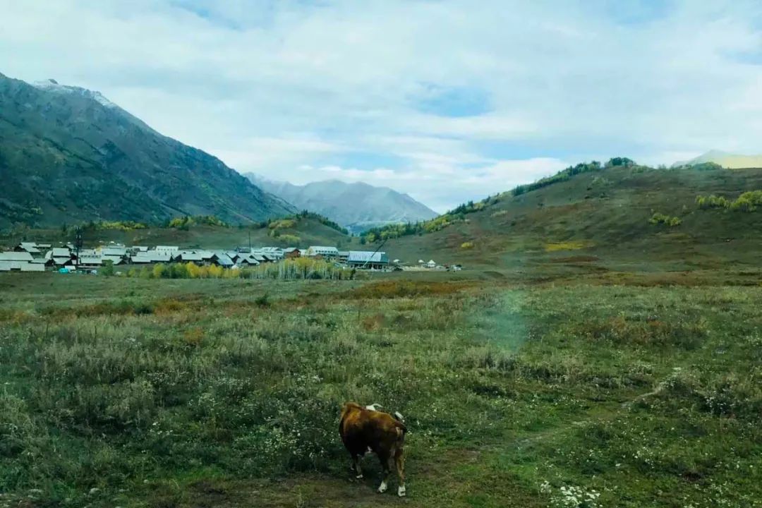 粉絲來信｜藏在相冊裡的山水畫 旅遊 第84張